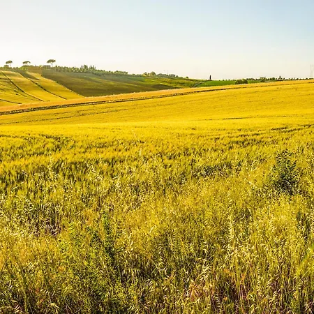 Stunning In San Vito In Monte Διαμέρισμα