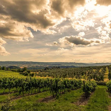 Διαμέρισμα Stunning In San Vito In Monte *