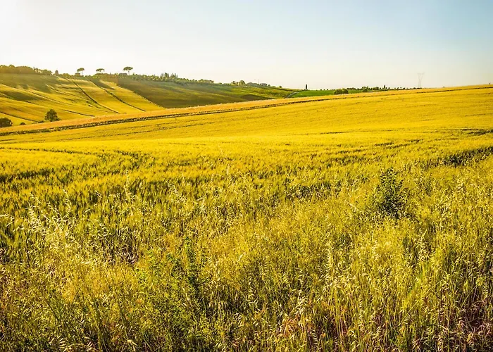 Stunning In San Vito In Monte Apartamento